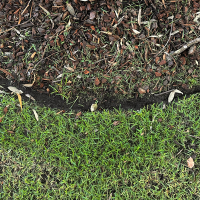 63/Twenty26: A tiny grin made from grass, bark and sunshine