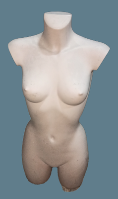 Torso maniquí femenino