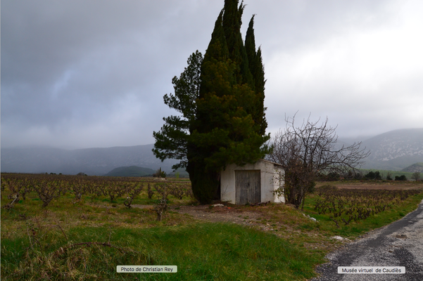 Photo Christian Rey (2019)