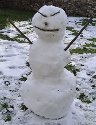 J5 Bonhomme de neige dans un jardin (Photo Béatrice Orbillot)