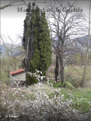 Photo Andrée Tricoire  - Au Printemps