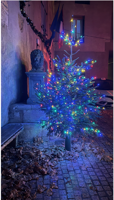 J1 Sapin 2024 Place de la Mairie (Photo Luc Lanat)