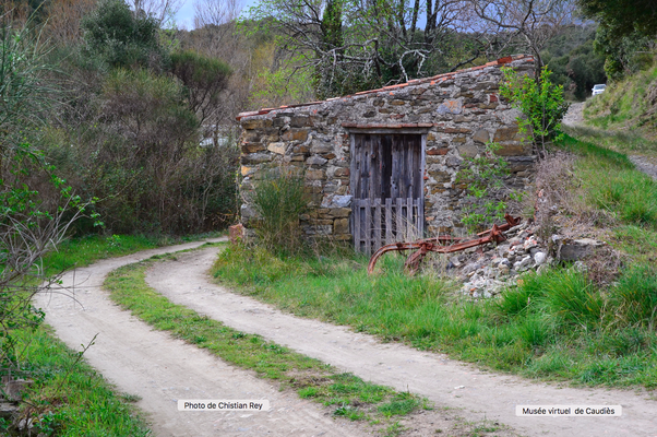 Photo Christian Rey (2019)