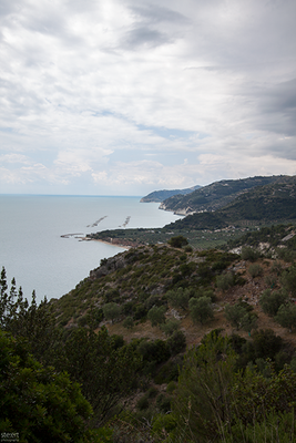 gargano