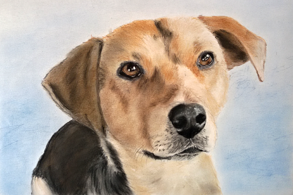"Nova" Pastell auf Tonpapier DIN A4 Format 05.2016