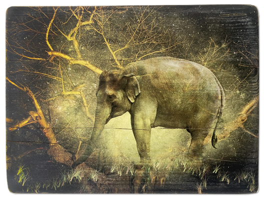 innergardens Kunst, Druck auf Holz, Elefant