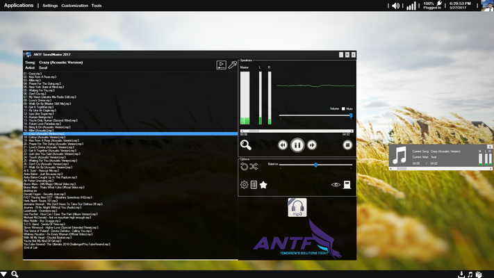 Music Media and Widget