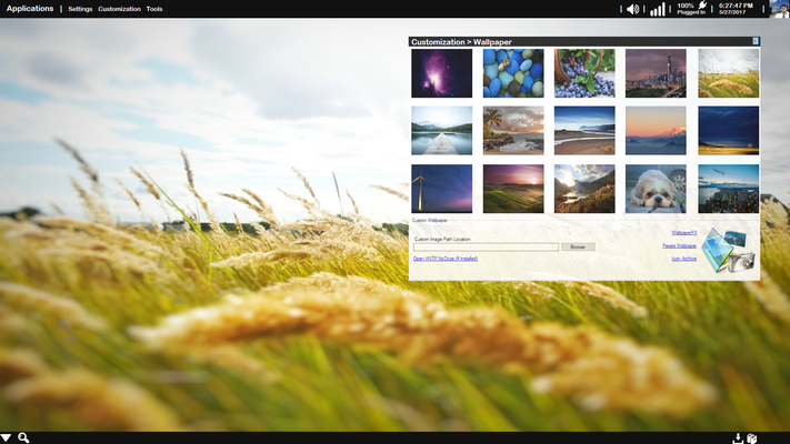 Appearance