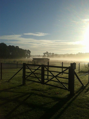 Unser Paddocktrail im morgendlichen Nebel
