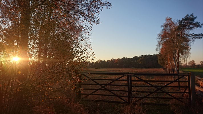 Herbstimpressionen