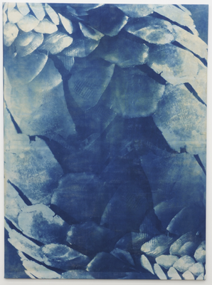 Klara Meinhardt, Pangoline (2), 2023, Cyanotypie auf Leinwand © VG Bild-Kunst, Bonn 2024