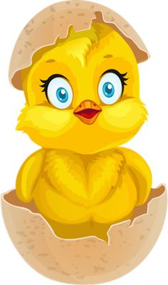 poussin - animal domestique - animaux - smiley émoticône émoji cartoon clipart illustration - artémotic