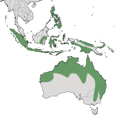 Karte zur Verbreitung der Wanderpfeifgans in Australien 