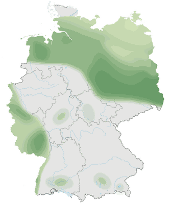 Verbreitung des Schwarzkehlchens (Saxicola rubicola) in Deutschland