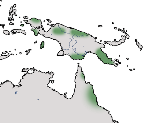 Karte zur Verbreitung des Schwarzohr-Laubenvogels