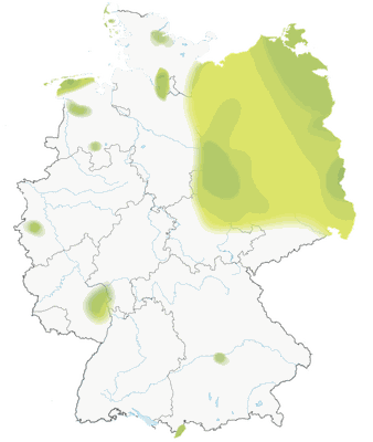 Karte zur Verbreitung des Steinschmätzers in Deutschland