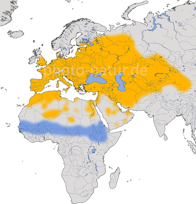 Karte zur Verbreitung der Turteltaube (Streptopelia turtur)