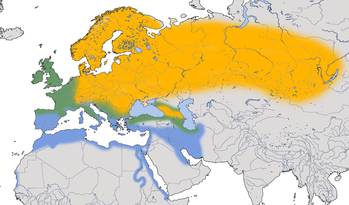 Karte zur Verbreitung der Singdrossel (Turdus philomelos).