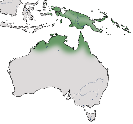 Karte zur Verbreitung des Strichelfächerschwanzes