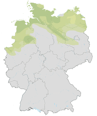 Karte zum Vorkommen der Löffelente in Deutschland.