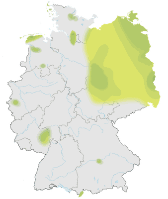 Karte zur Verbreitung des Steinschmätzers in Deutschland