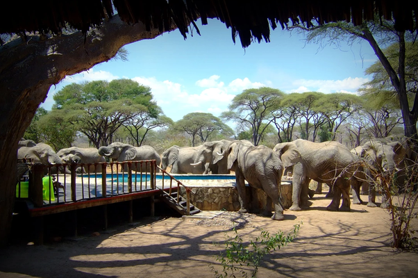 Tandala Tented Camp