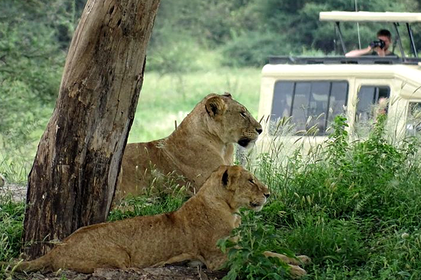 Tarangire Nationalpark