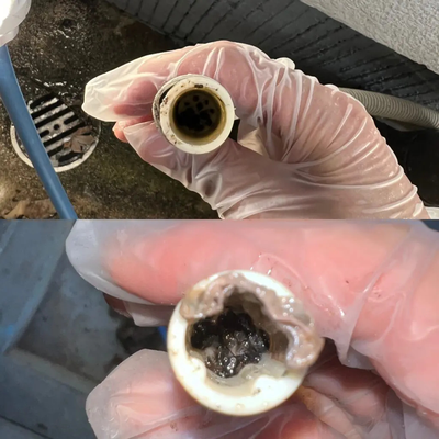 防虫キャップが汚れて詰まりの原因に
