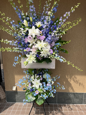 ￥33.000