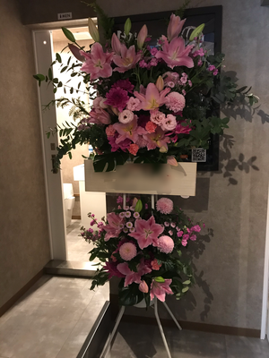 ￥22.000
