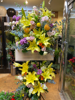 ￥22.000