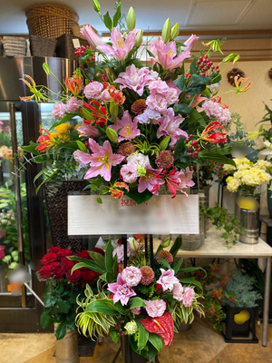 ￥22.000
