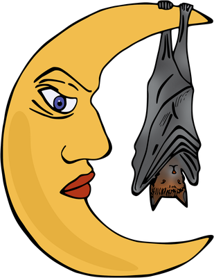 lune - astre - environnement - smiley émoticône émoji cartoon clipart illustration - artémotic