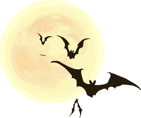 lune - astre - environnement - smiley émoticône émoji cartoon clipart illustration - artémotic