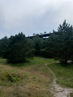 so Ruinen im Wald.