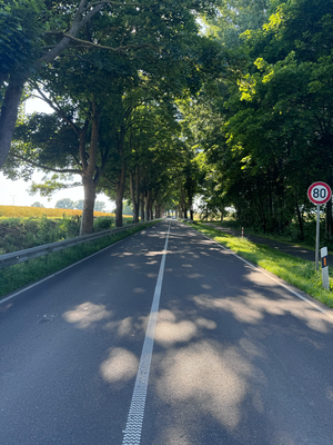 mit Leitplanke,