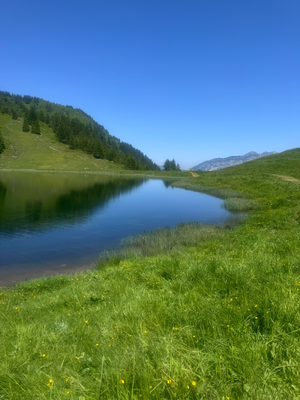 und den Heusee.