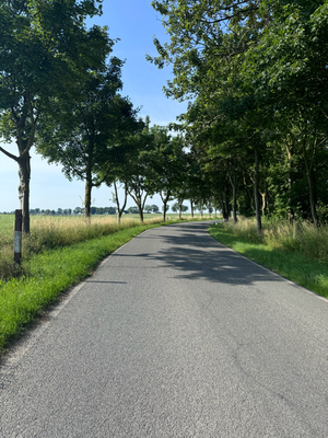 Allee mit Kurve,