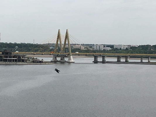Millennium Bridge von weitem