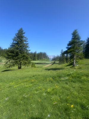 ... und auf den Schwarzsee ...