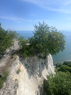 oder mit Blick nach rechts, 