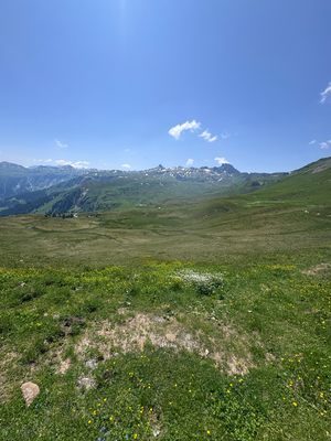 Entwarnung, Spitzmeilen könnte es sein.