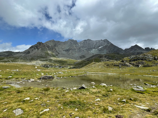 Aber auch er mit dem Corvatsch Gipfel als Kulisse. PS: Die Gondel ist kurz vor der Bergstation.