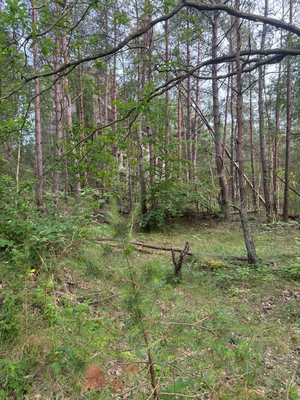 Irgendwie beklemmend, 
