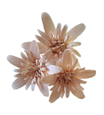 Edelweiss handgeschnitzt, Strauss