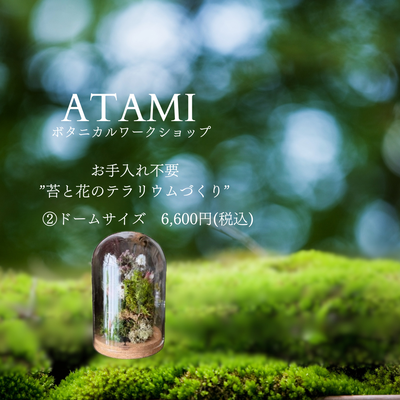 熱海限定ワークショップ『＼お手入れ不要／苔と花のテラリウム』作り［②ドームサイズ］