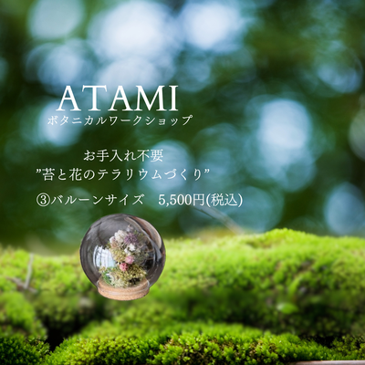 『＼お手入れ不要／苔と花のテラリウム』作り［③バルーンサイズ］