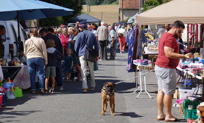 La brocante d'Artonges accueille des visiteurs de tout poil.