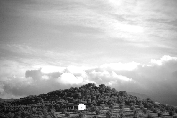 SIERRA NEVADA, SPAIN - 2014