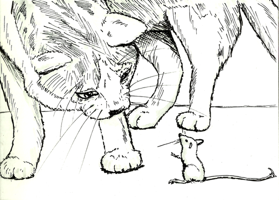 "Katz und Maus" - A5 - 2015
